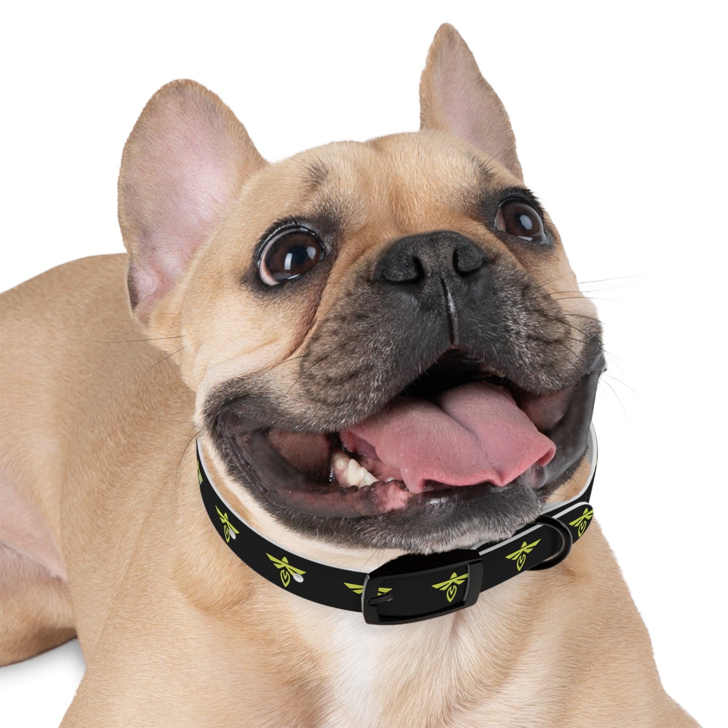 Firefly Aerospace Adjustable Dog Collar