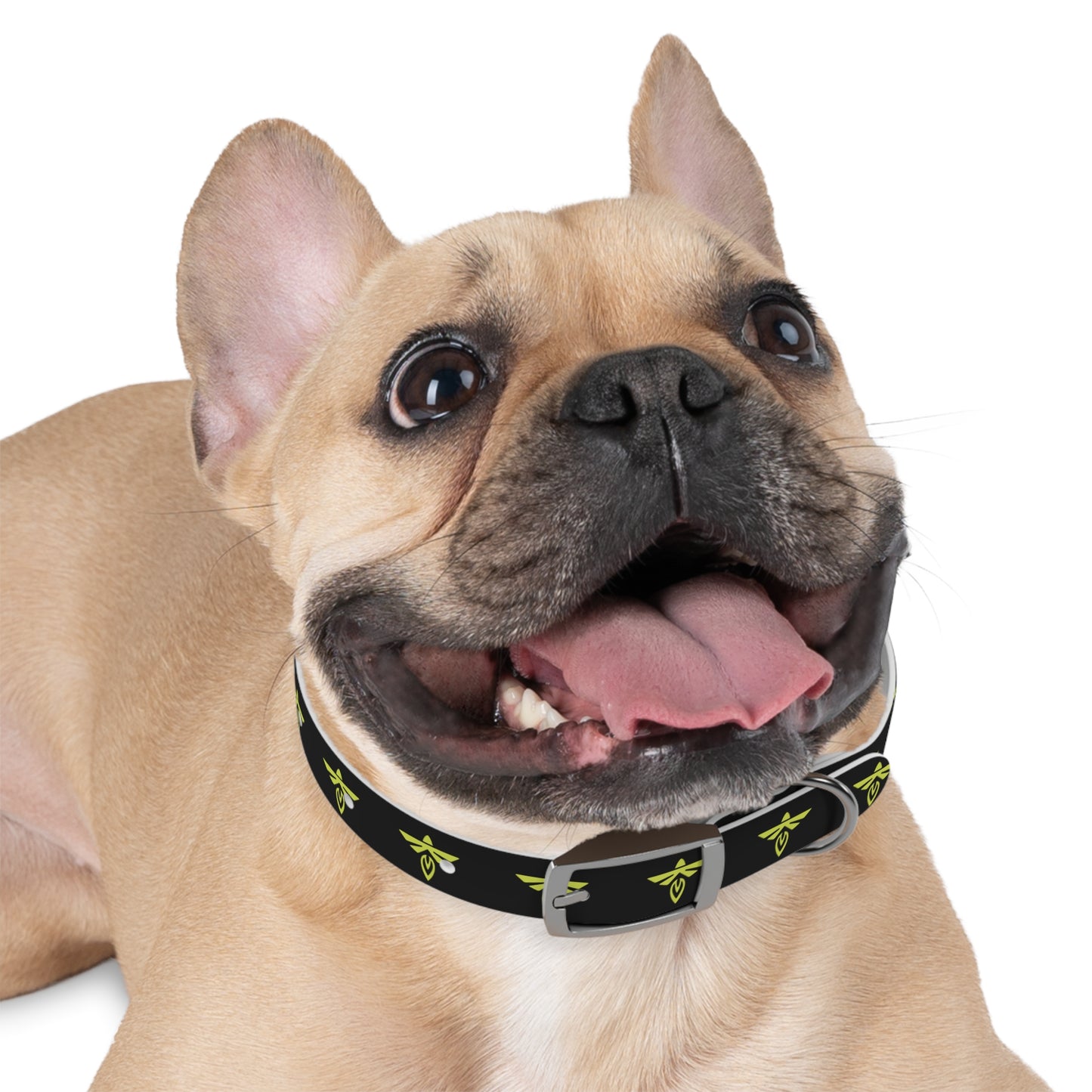 Firefly Aerospace Adjustable Dog Collar