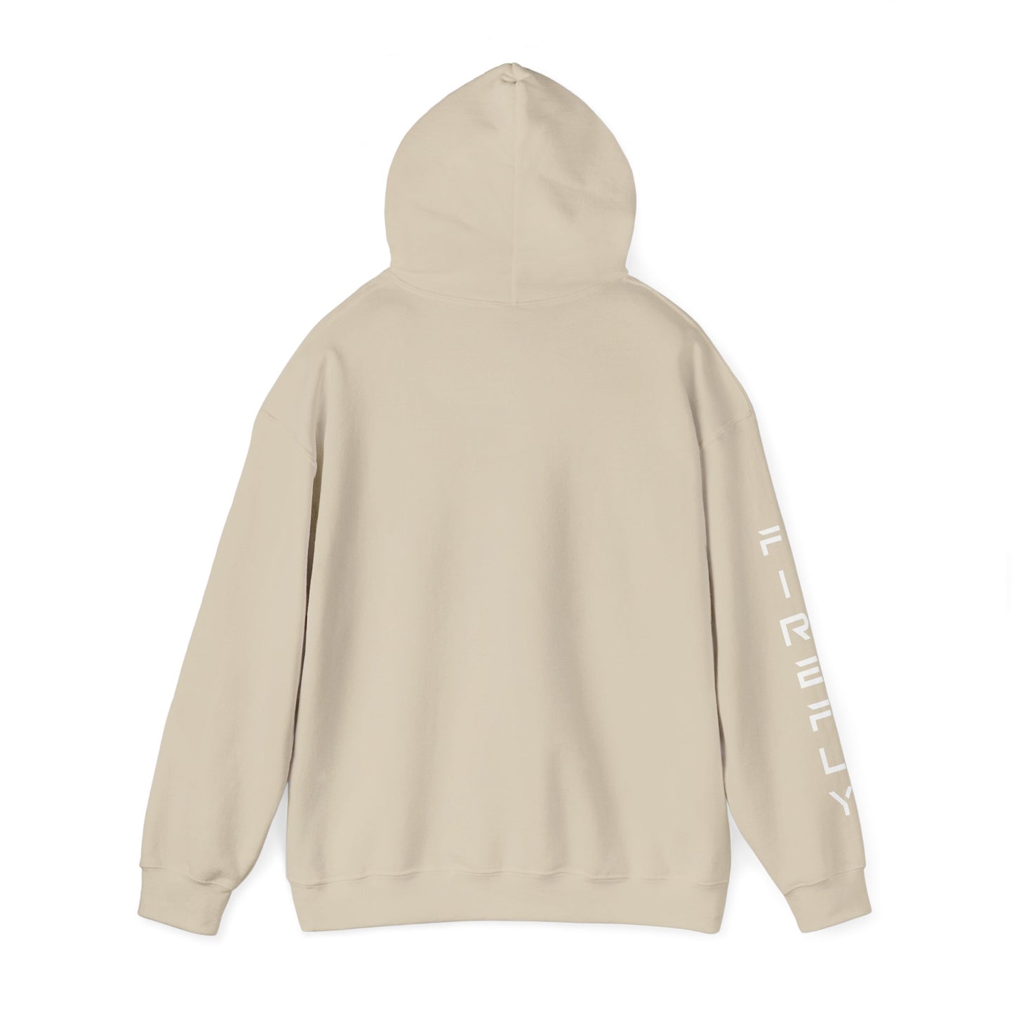 Elytra Unisex Heavy Blend™ Hooded Sweatshirt | Firefly Aerospace Hoodie