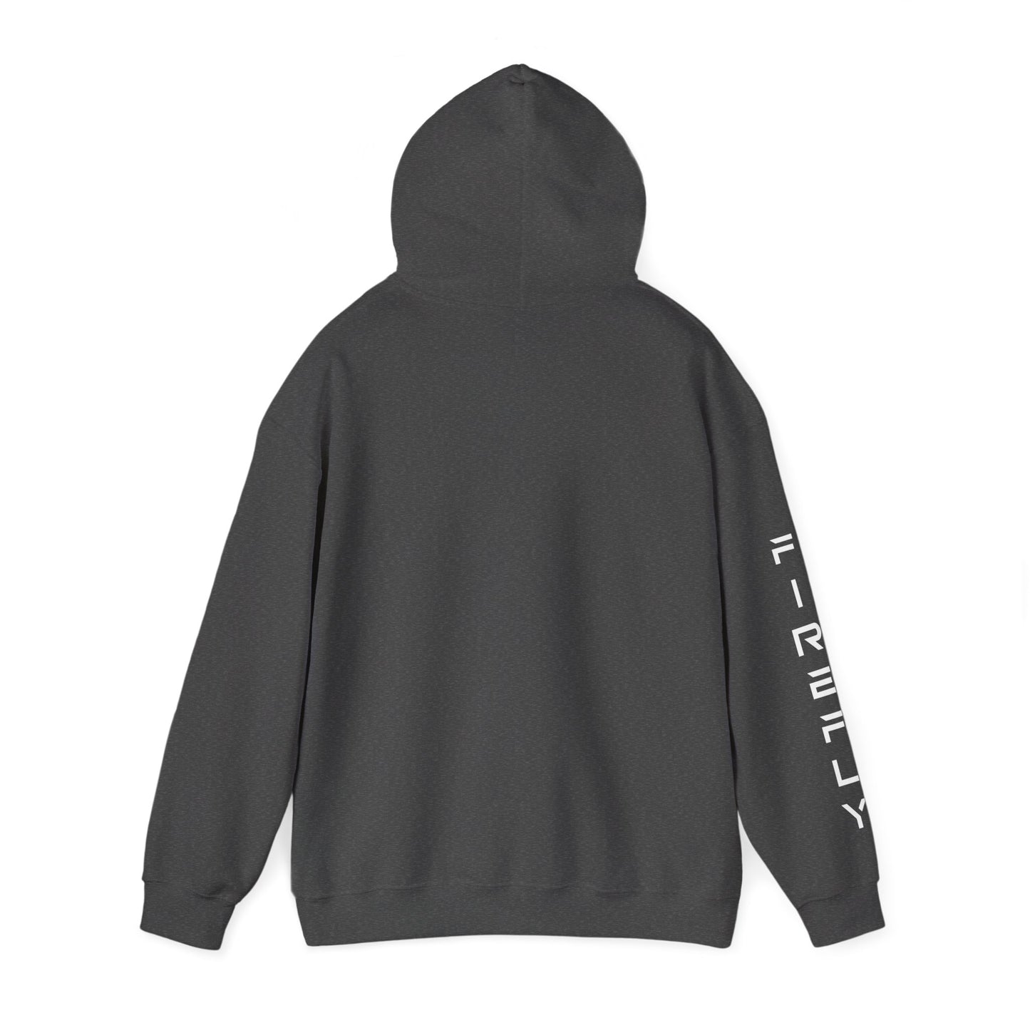 Elytra Unisex Heavy Blend™ Hooded Sweatshirt | Firefly Aerospace Hoodie