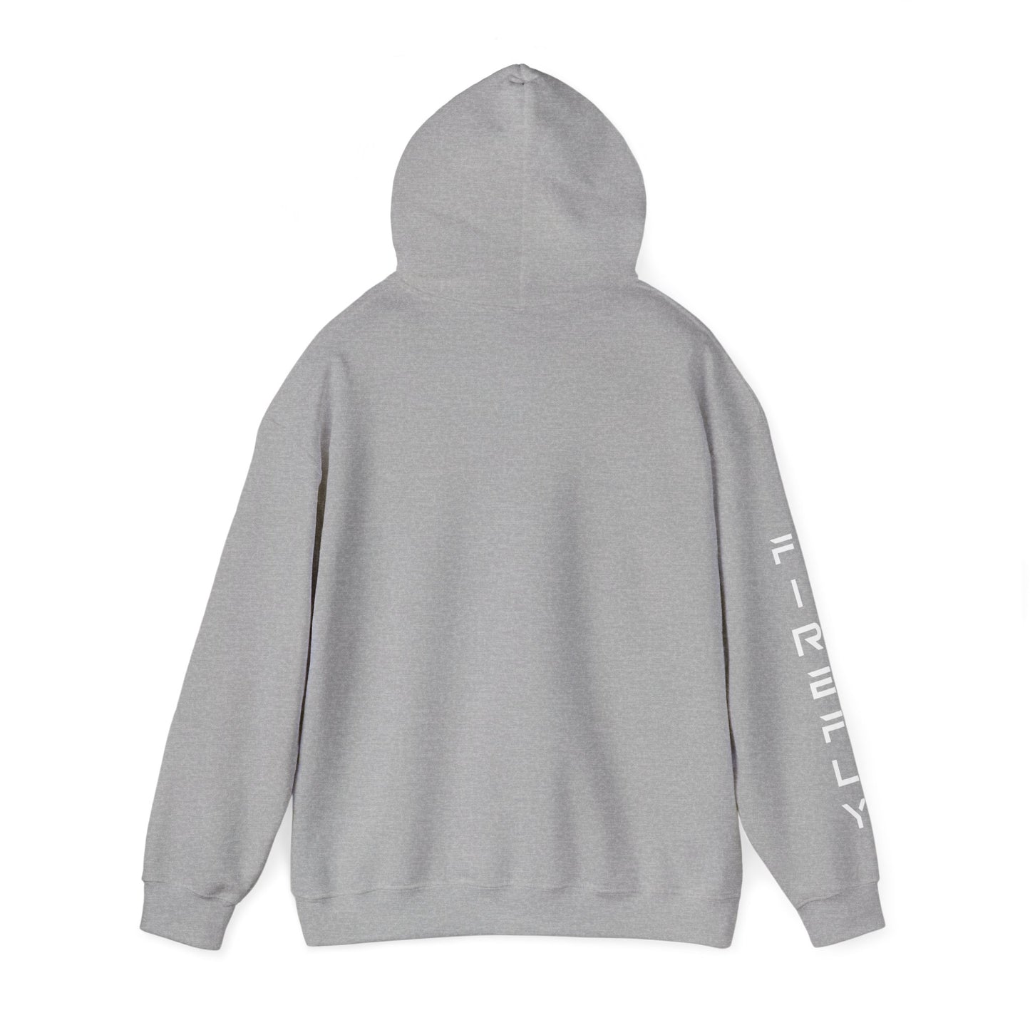 Elytra Unisex Heavy Blend™ Hooded Sweatshirt | Firefly Aerospace Hoodie