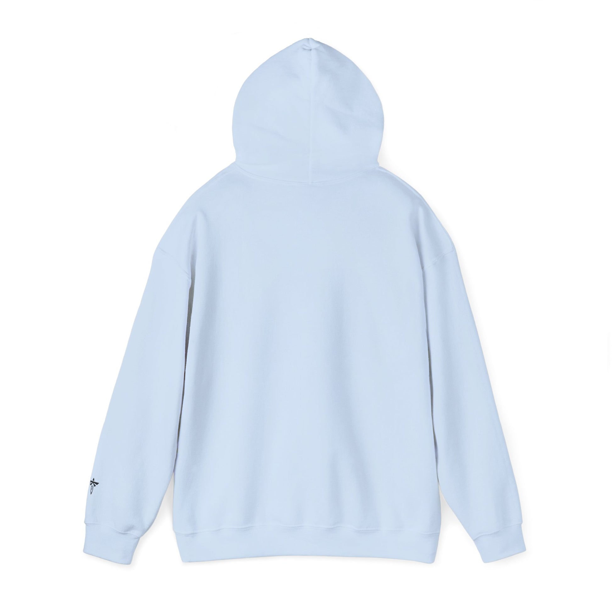 Light blue hoodie on a white background